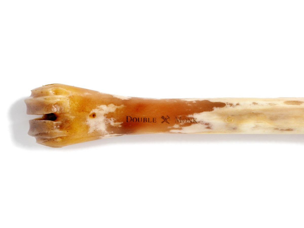 Close up of Shopovas logo on Abbeyhorn deer polishing bone